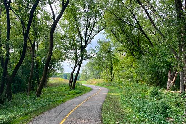 Busse Woods