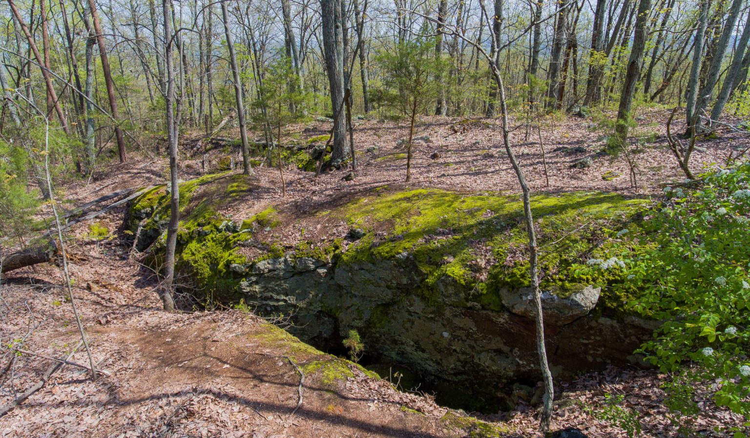 Nanny's Mountain Historic Site4