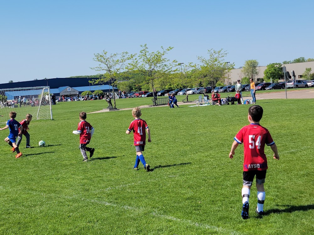 park 3.jpg