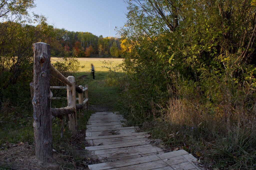 Hickory Meadows4