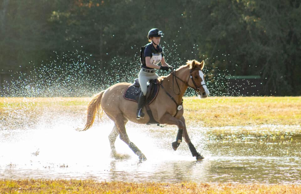 Sandy River Equestrian Center 3