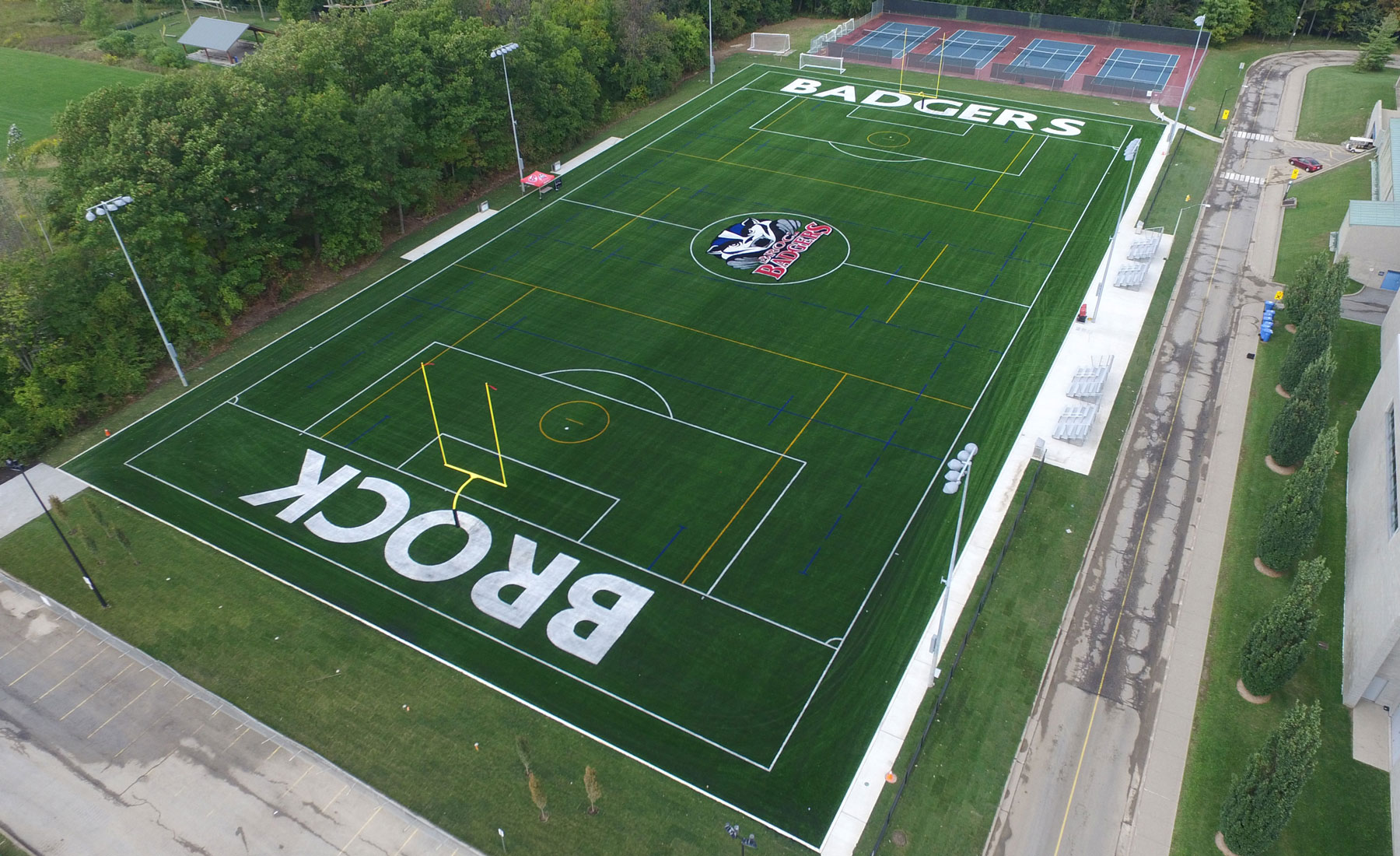 turf-3.jpg