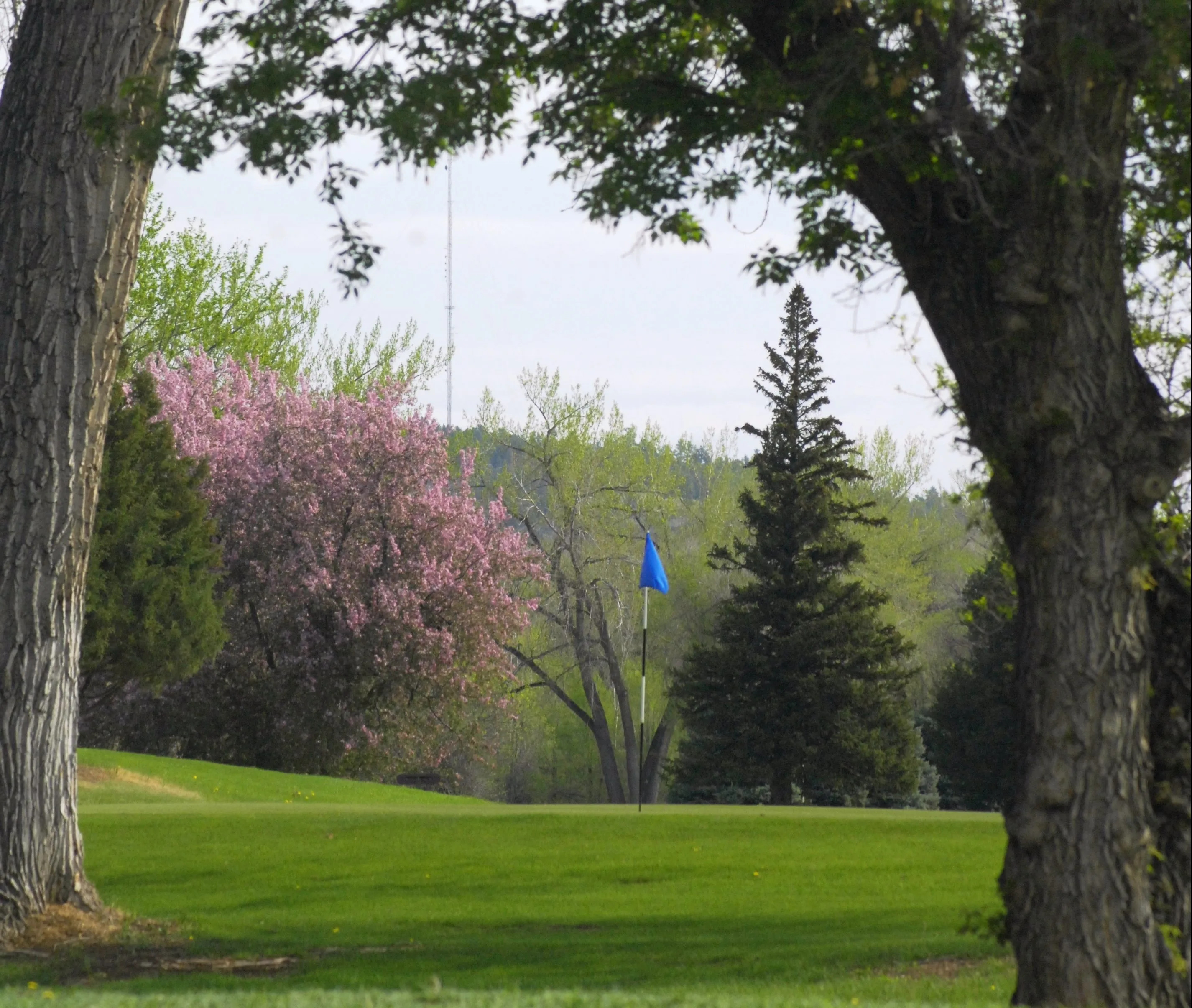 Meadowbrook%20Golf%20Course3