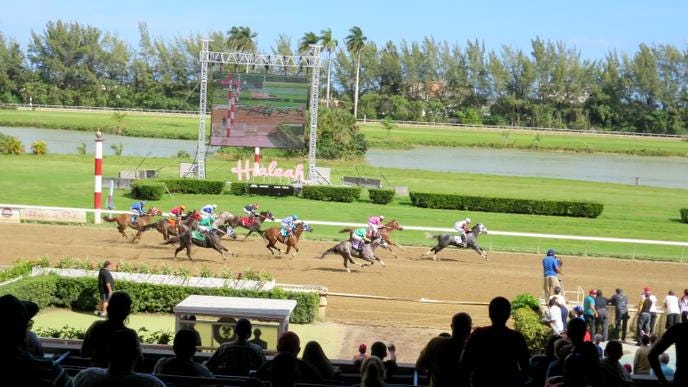 Hialeah Park Racing & Casino 3