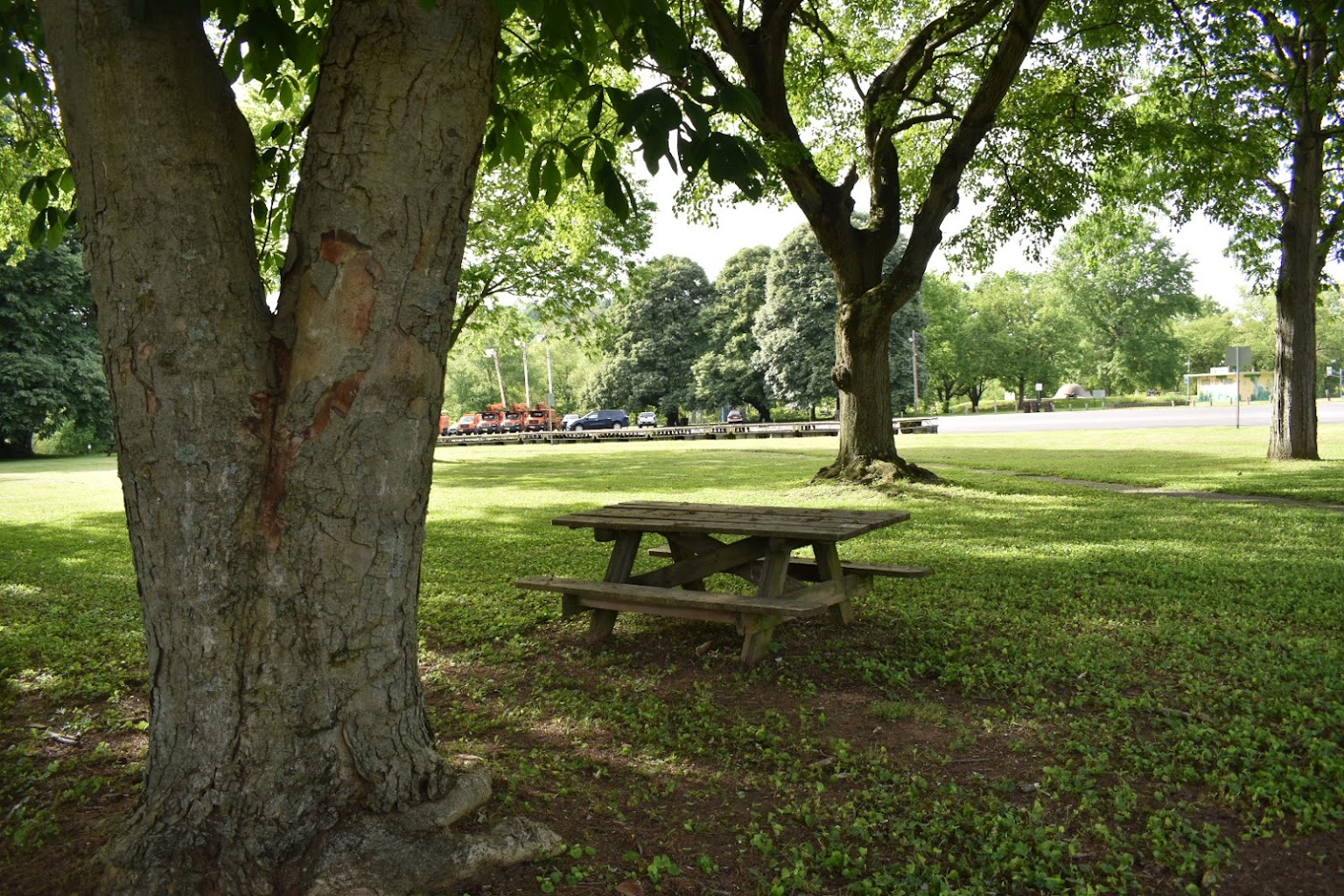 Indian Acres Park2