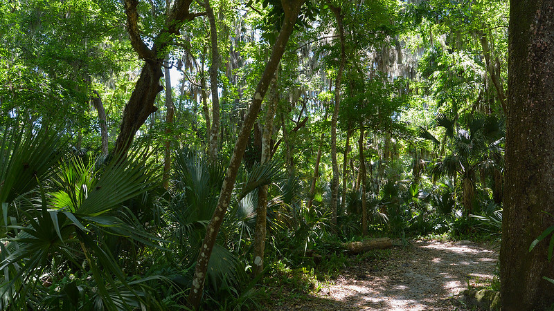 Green Springs Park6