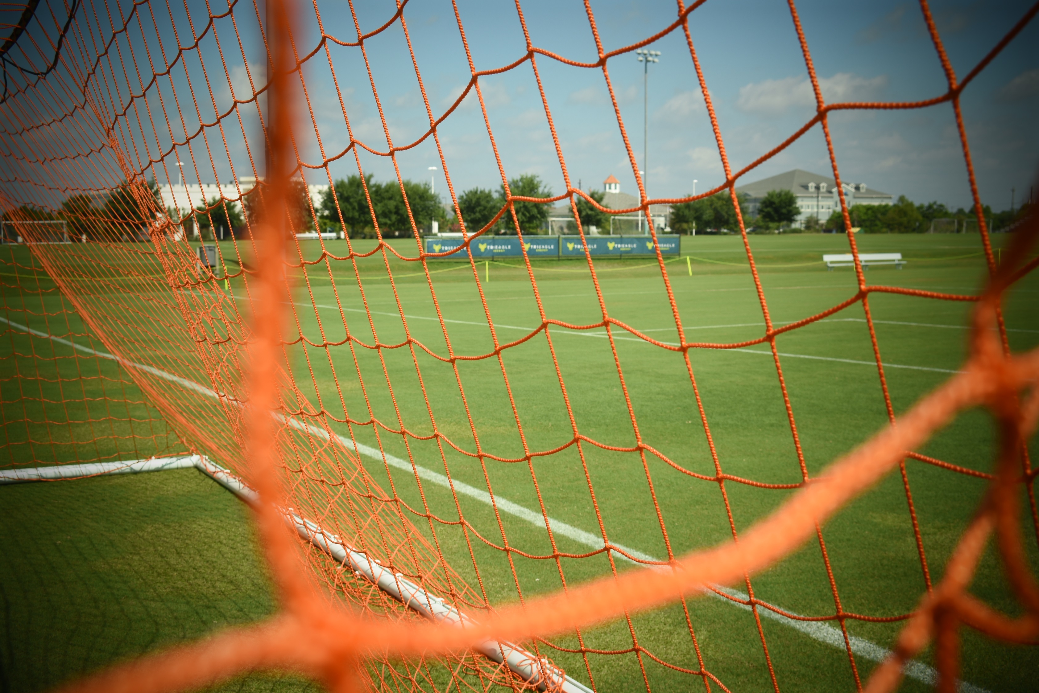 Goal net