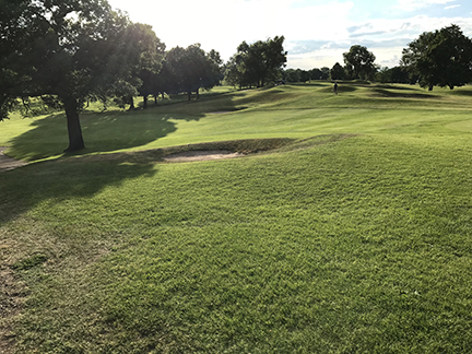 golf course 1