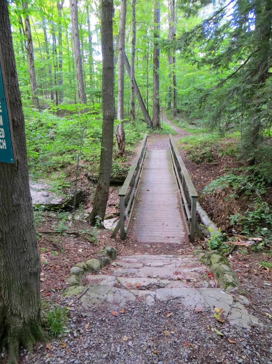 Park 6