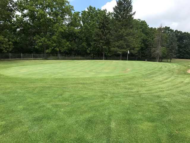 Custer Greens 4
