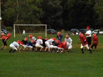 Nott Road Fields 4