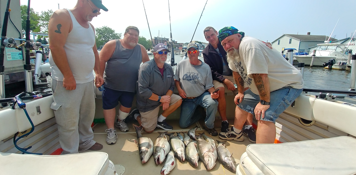 code seeker charters