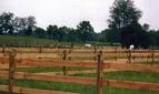 cage stables fence