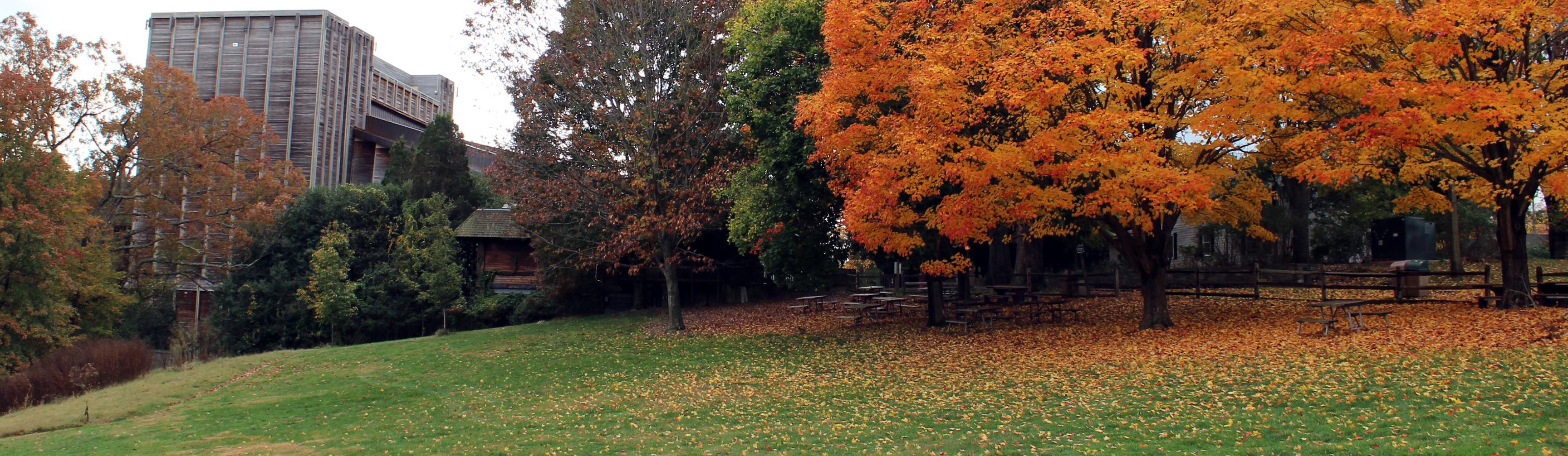 Wolf Trap Park 6