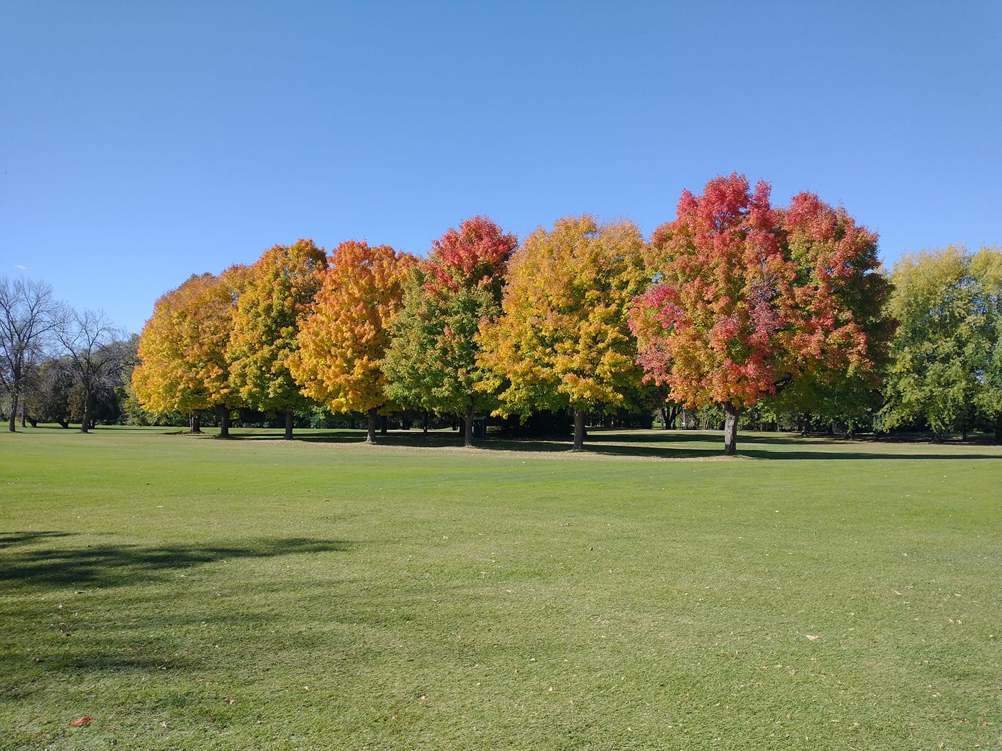 Far Vu Golf Course8