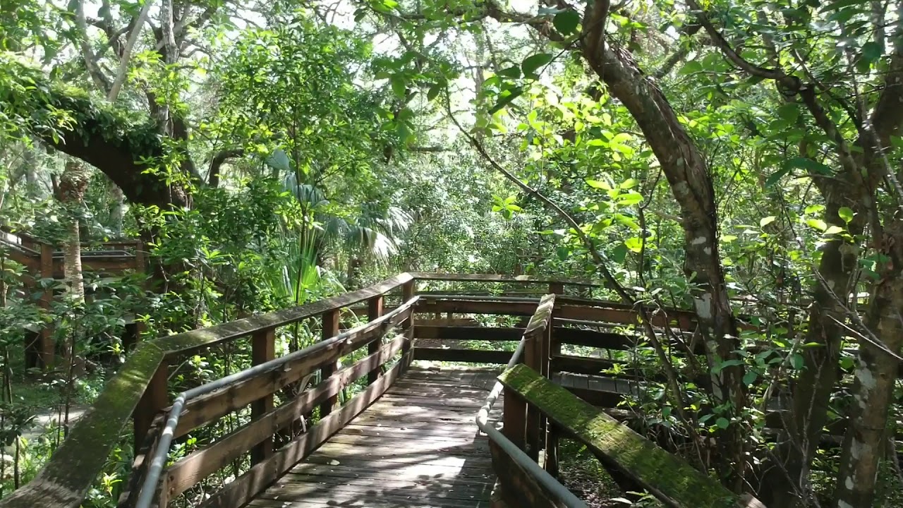 A.D. Barnes Park 1