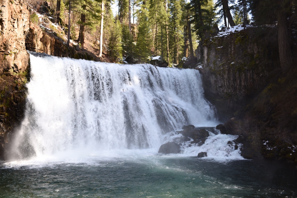 dsc_2469-1000