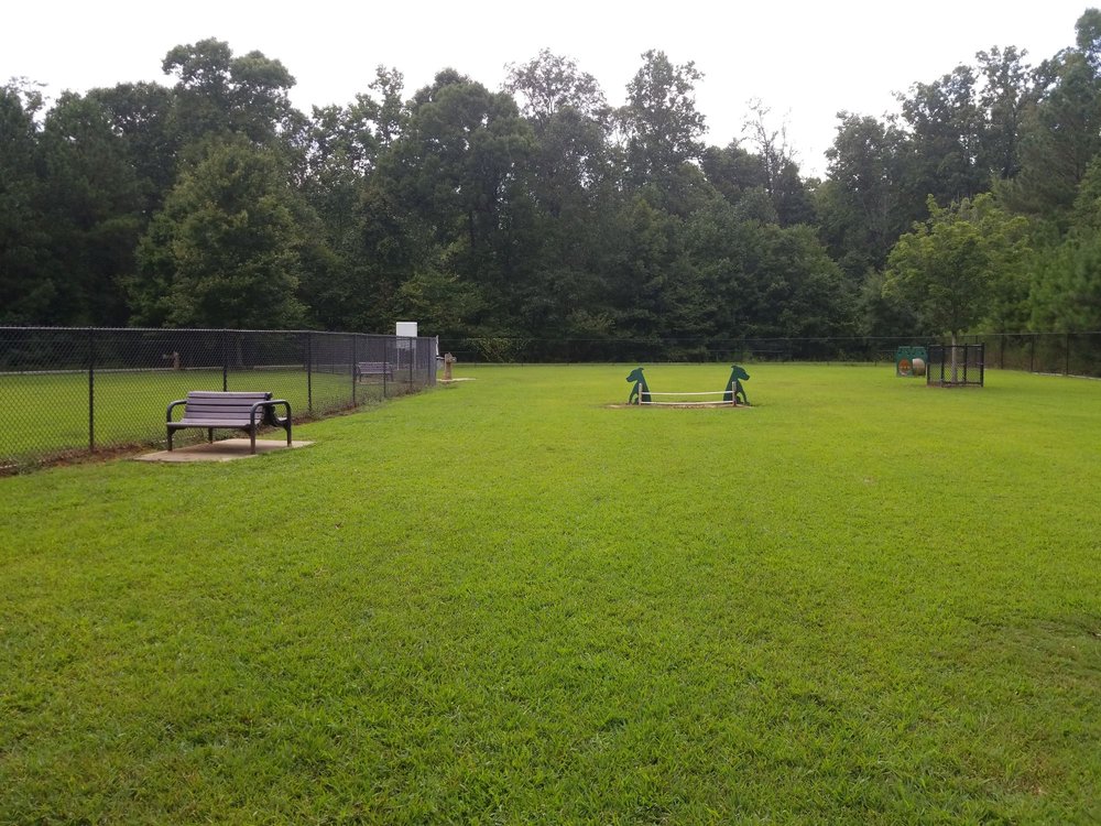 Graves Park6