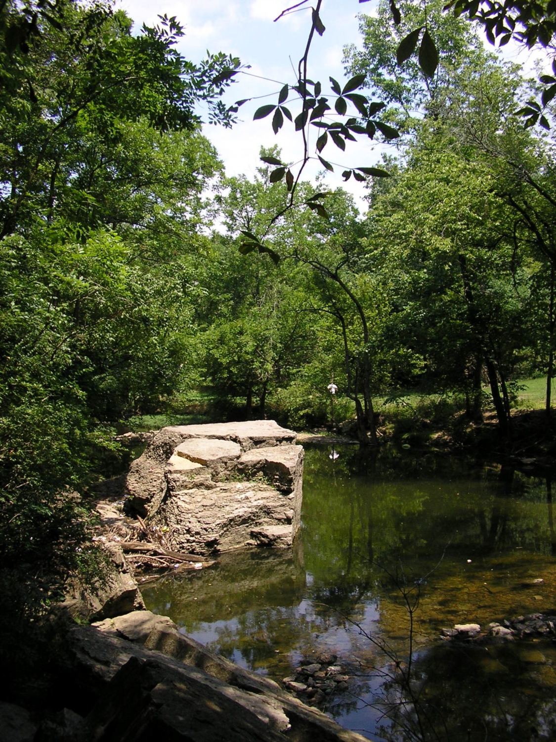 741_Cherokee_Park_Big_Rock