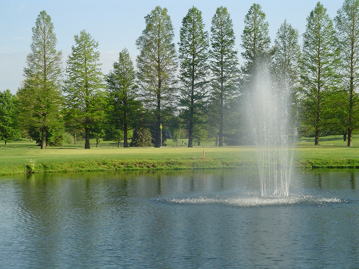 Picture of #5.JPG