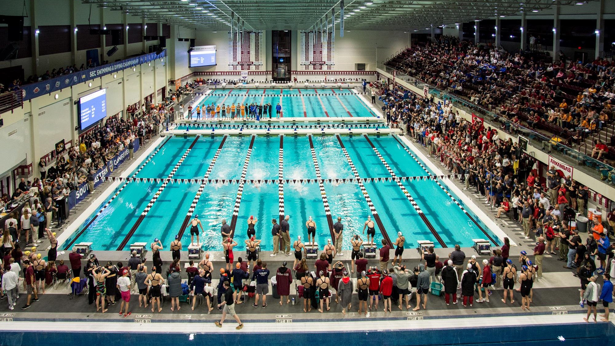 Natatorium 5