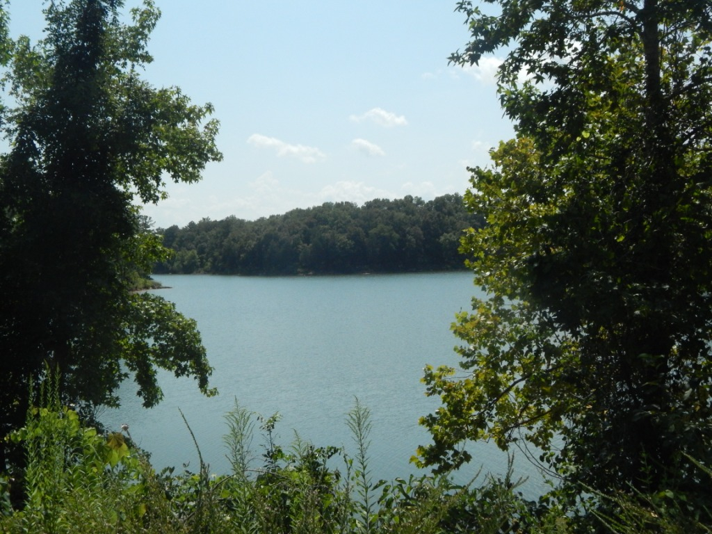 AnyConv.com__Bear Creek Development Authority2