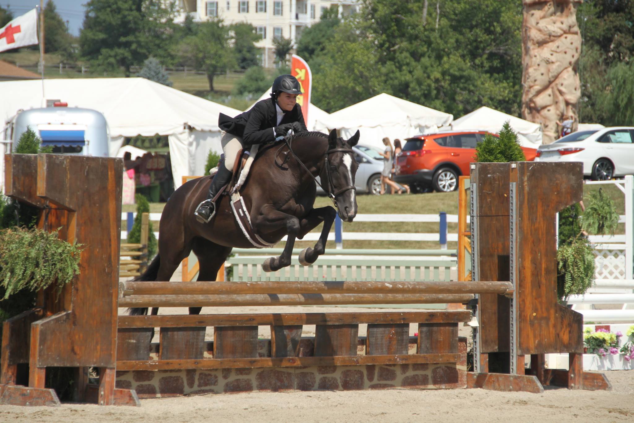 Ludwig's Corner Horse Show7