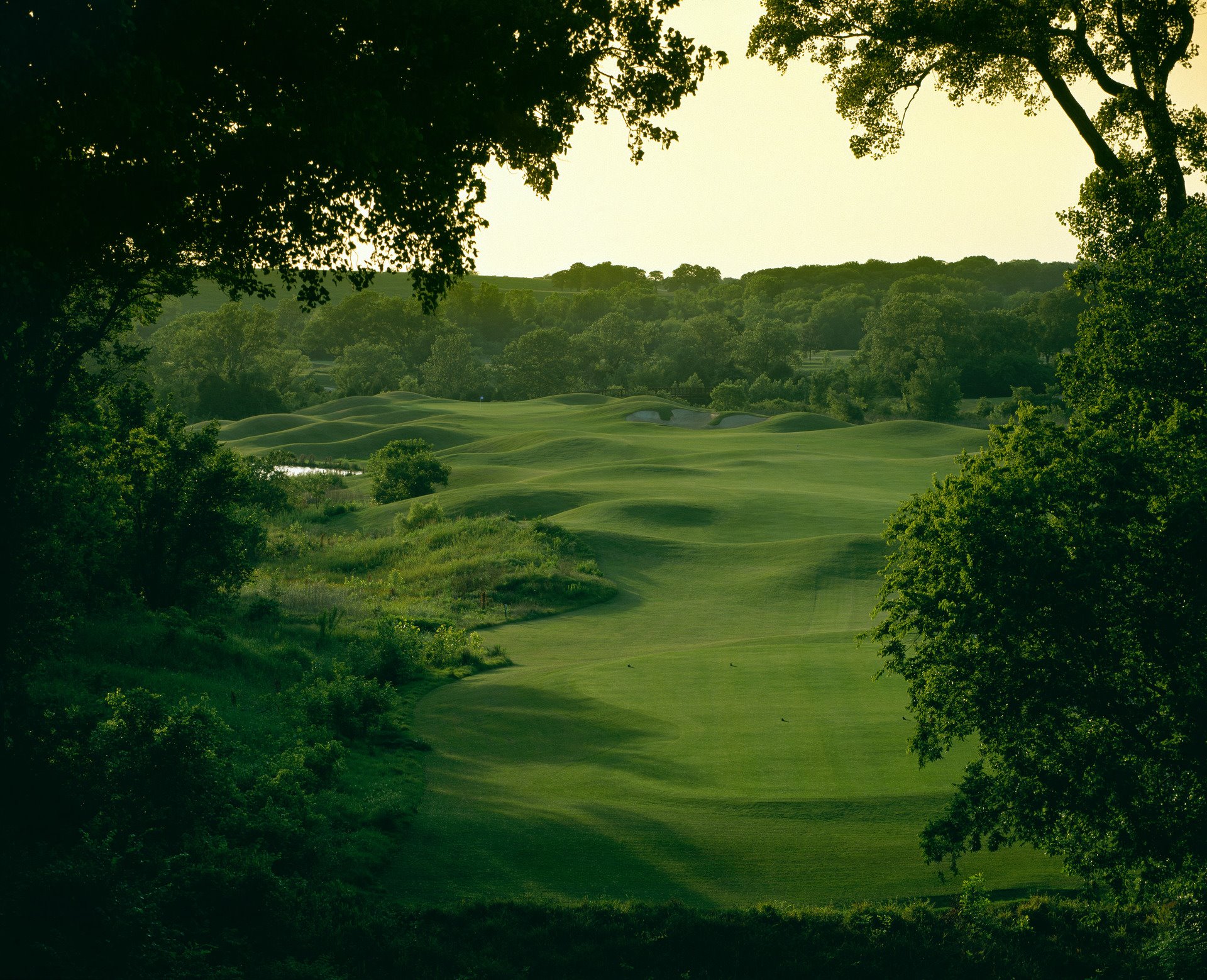 Bear Creek Golf Course8