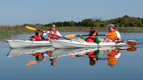 Kayak Hilton Head 5