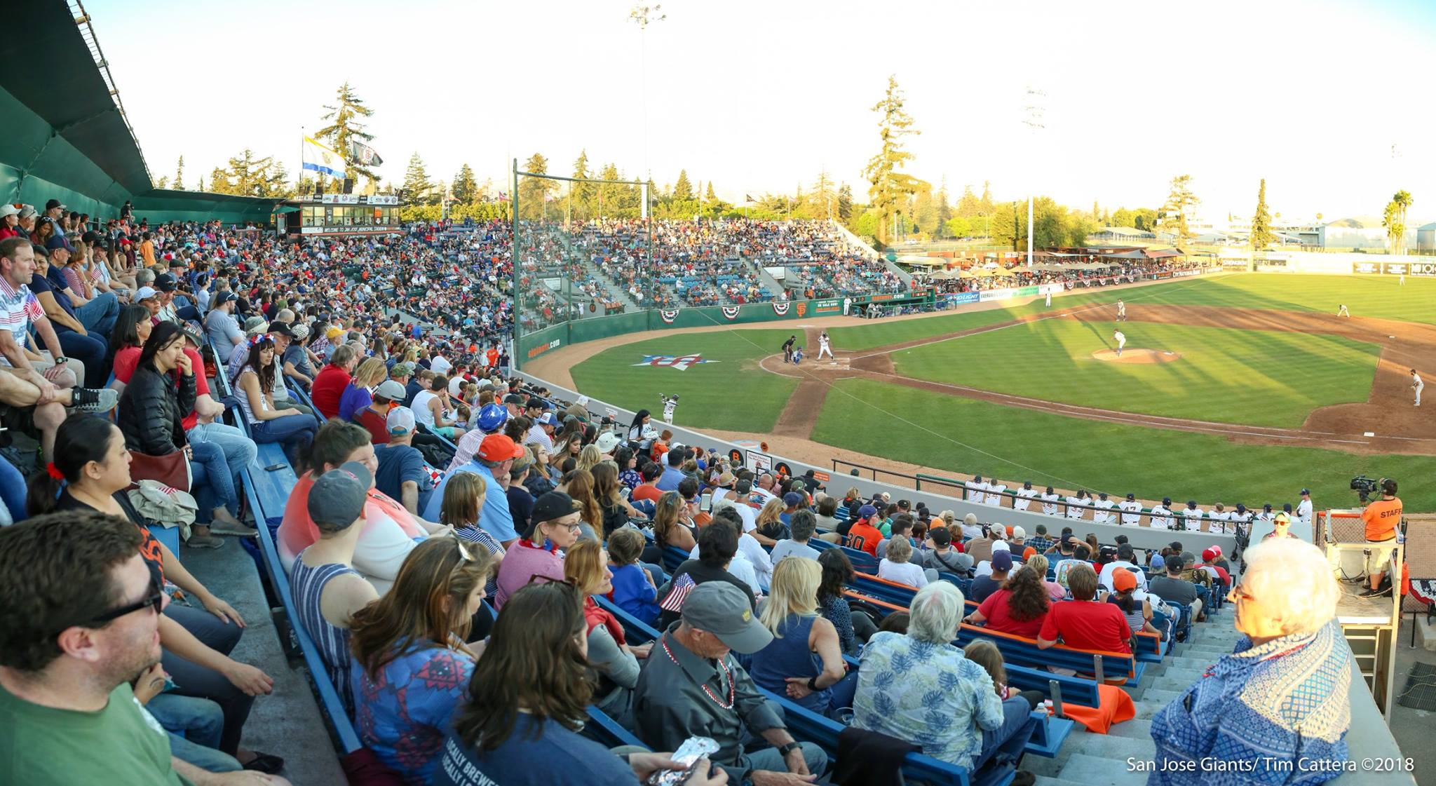 Excite Ballpark 6