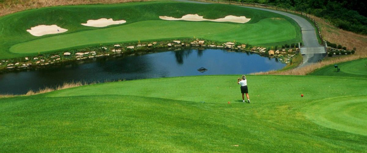 Coonskin Park & Golf Course 2