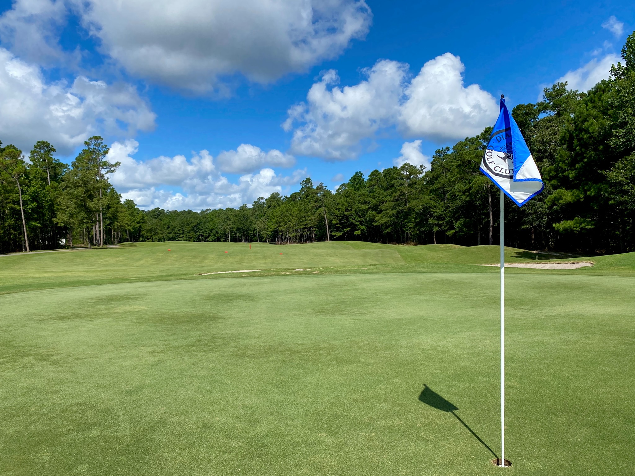Diamondback Golf Club 5