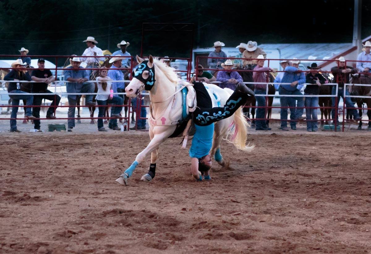 corbin arena horse