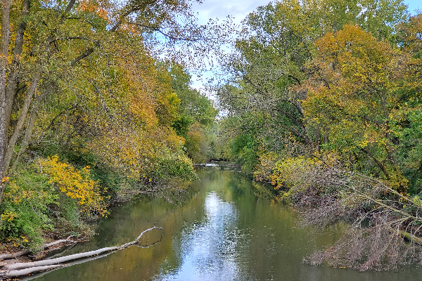 MacNider Woods6