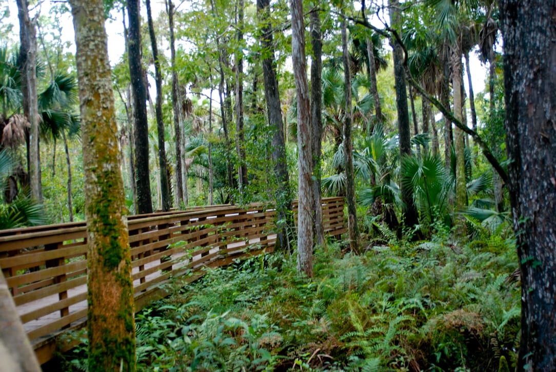 Riverbend Park2