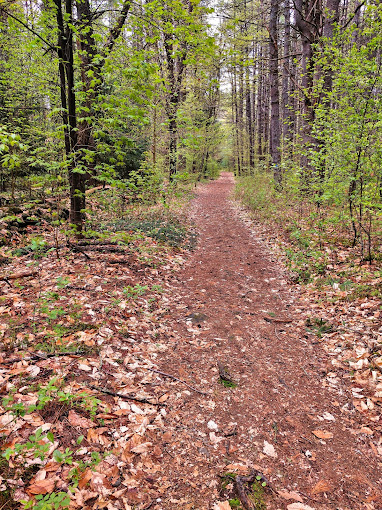 Hudson Trails.jpg