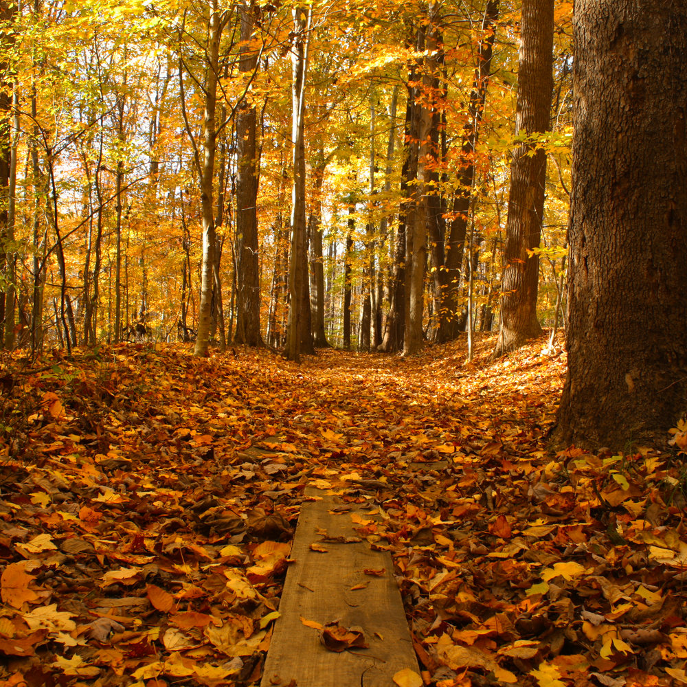 Indian Hollow Reservation2