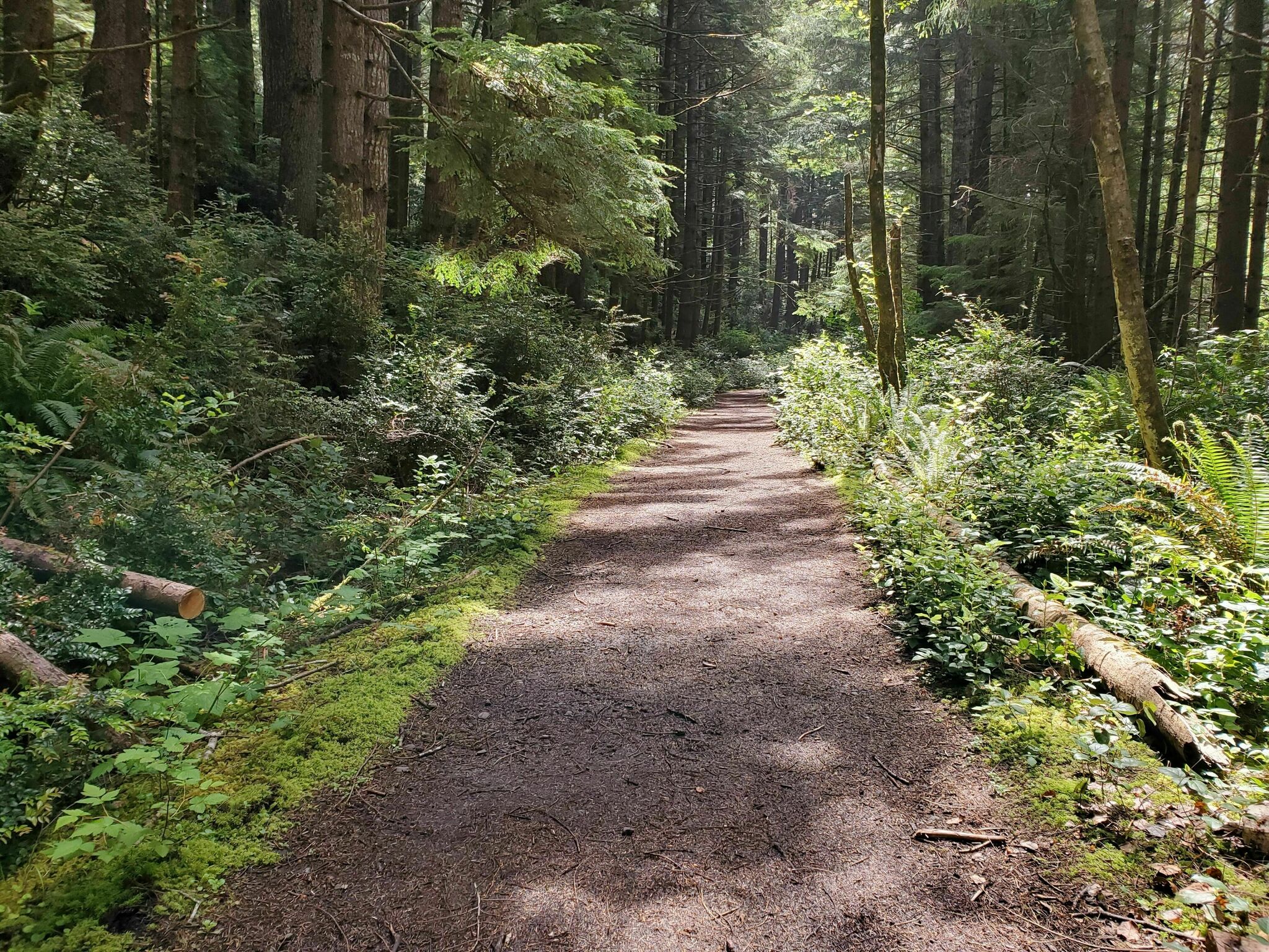 Cummins Creek Trail6