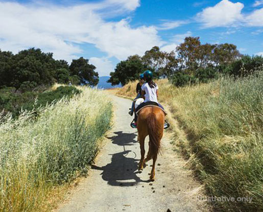 Garrod Farms and Stables 4