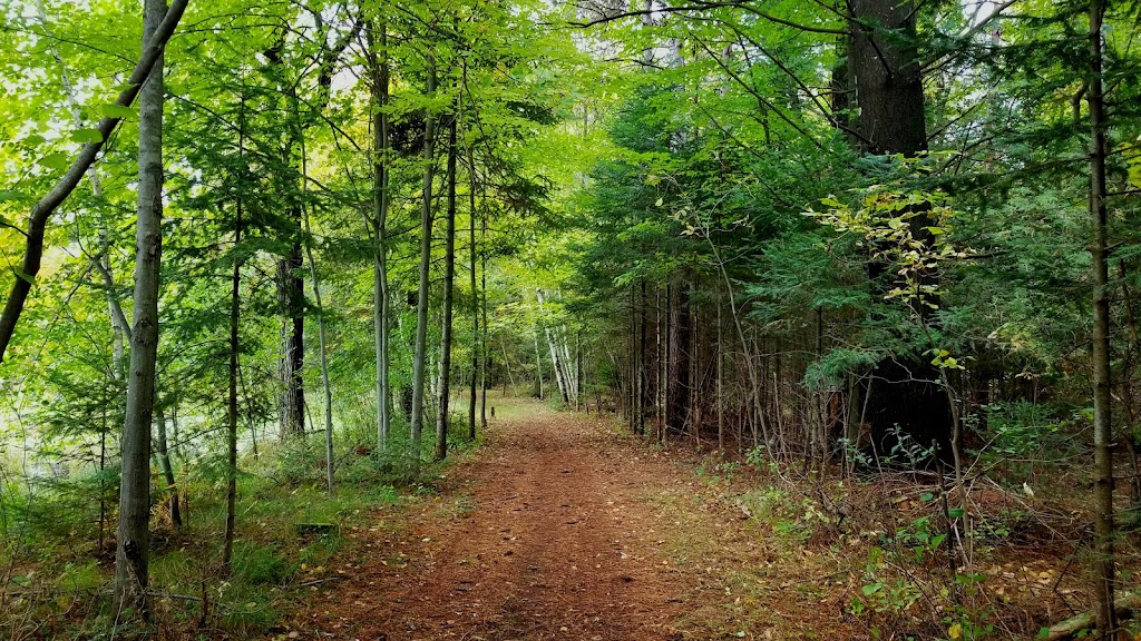Iverson Park 5