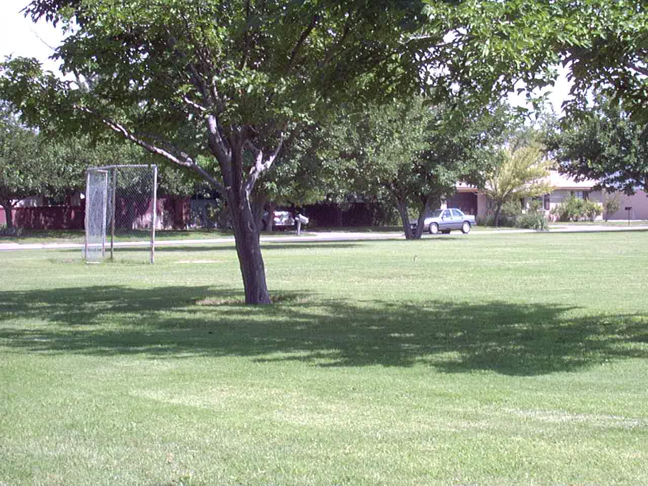 Del Norte Park 4