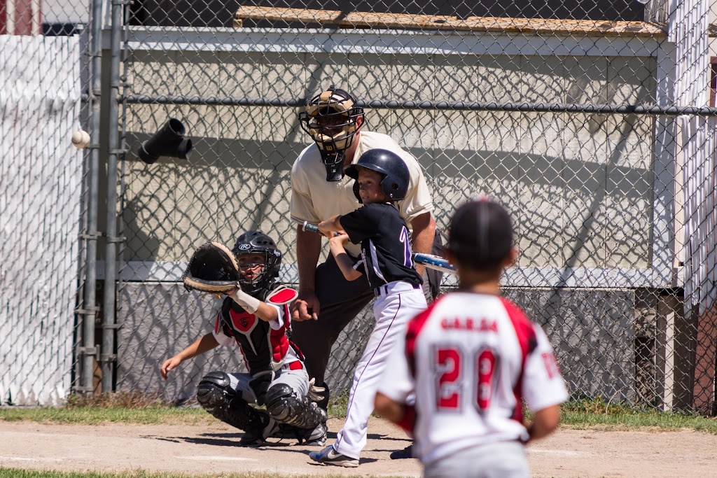 Elks Park Little League Complex 3