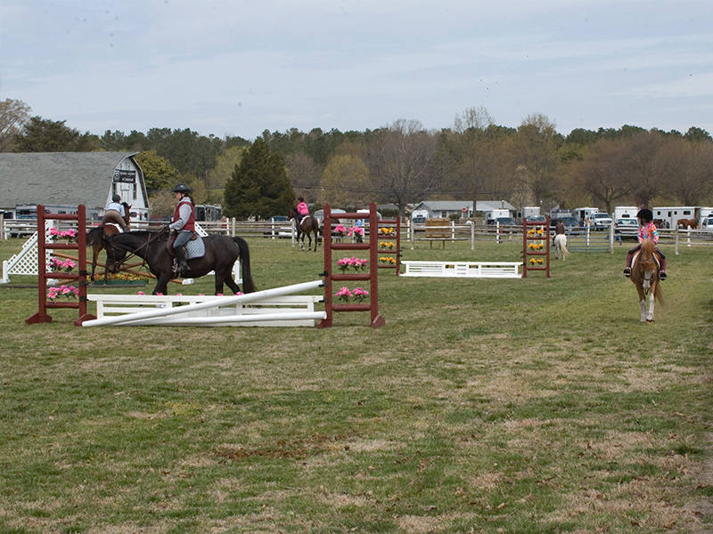 Wicomico-Equestrian-800x600-3