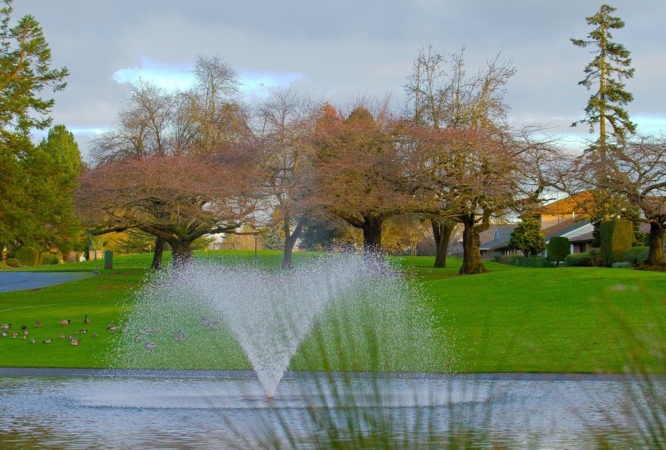 Summerfield Golf Course