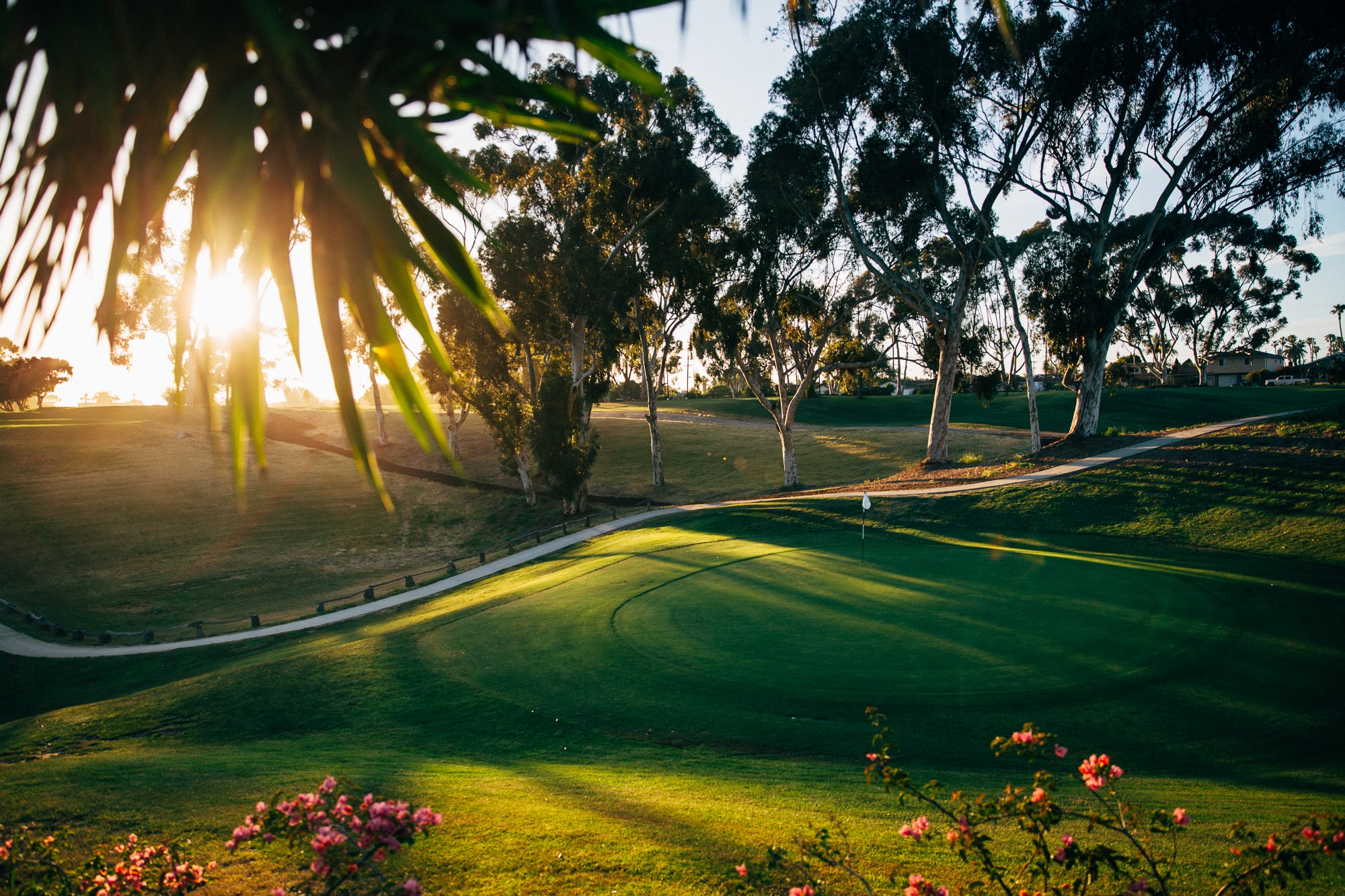 goat hill park