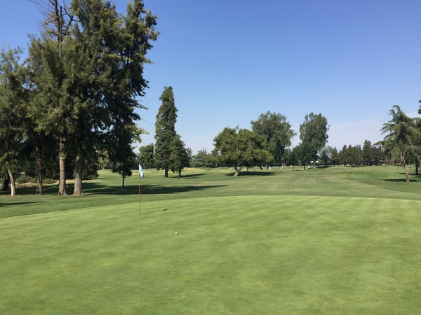 visalia greens