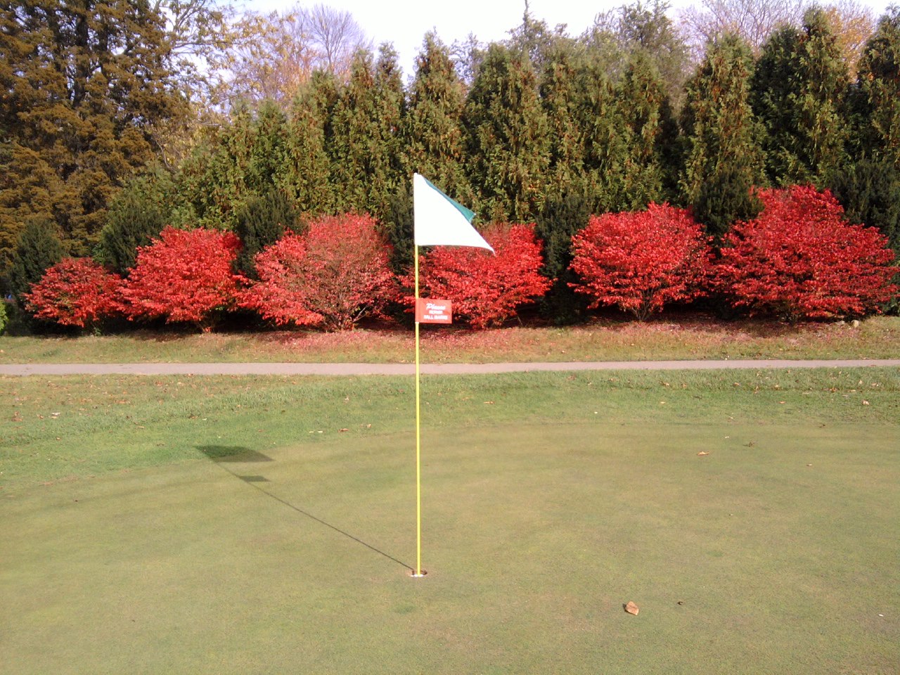 Shamrock Hills4