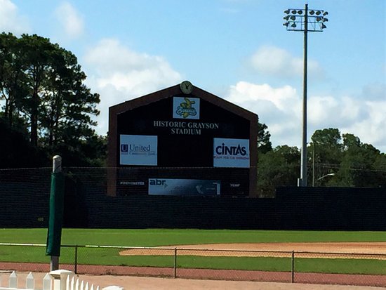 grayson stadium 6