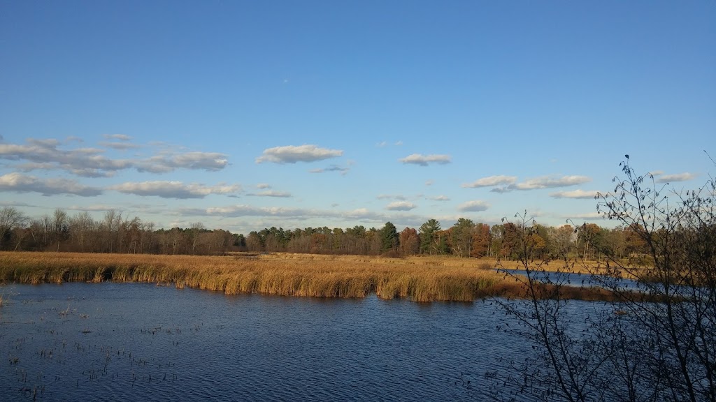 McDill Pond 3