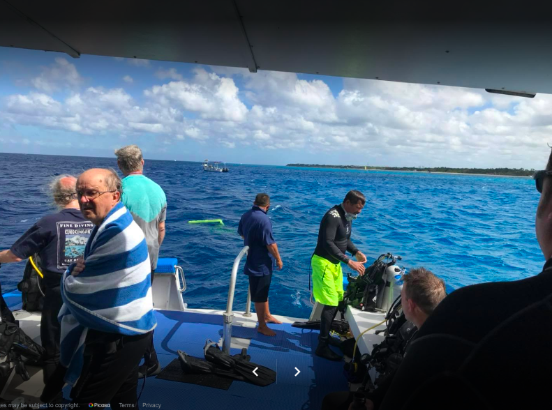 The Dive Shop 5